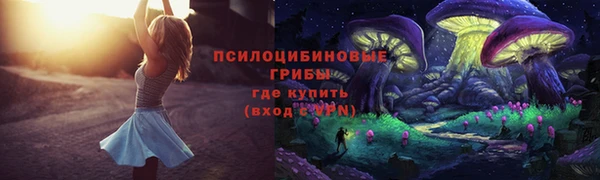 сатива Алзамай