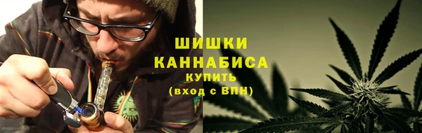 сатива Алзамай