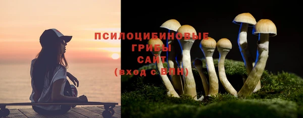 круглые Алексин