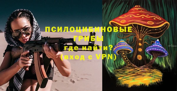 сатива Алзамай