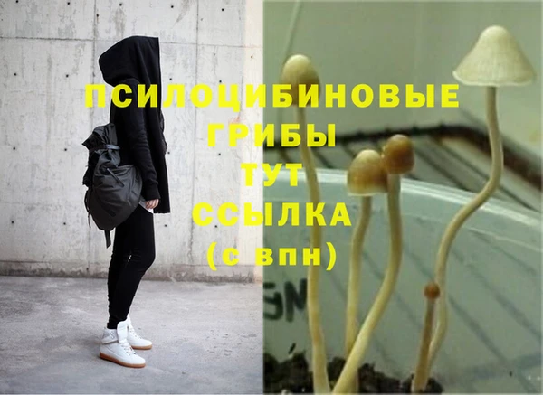 соль ск Алексеевка