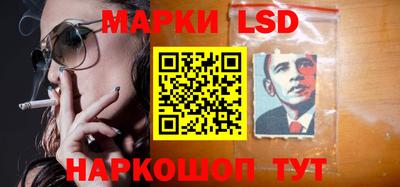 крисы Шахты