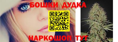 крисы Шахты
