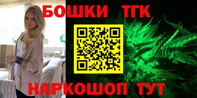 крисы Шахты