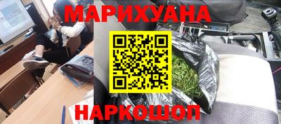 крисы Шахты