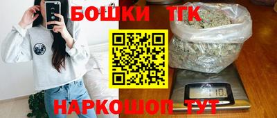 крисы Шахты