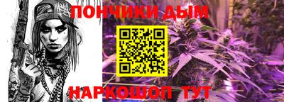 крисы Шахты