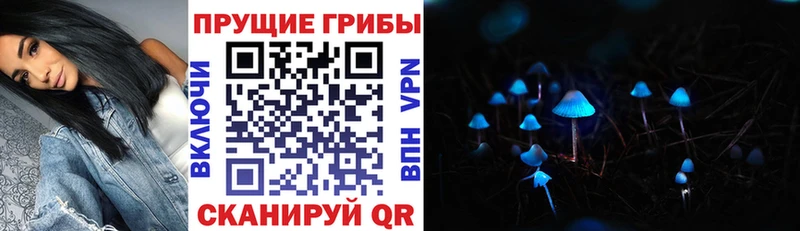 Галлюциногенные грибы мухоморы  магазин продажи наркотиков  Рубцовск 