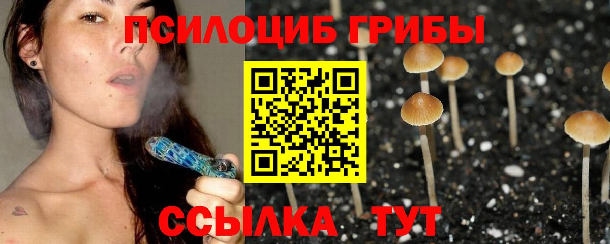 Галлюциногенные грибы Cubensis  Вход с VPN  Рубцовск 