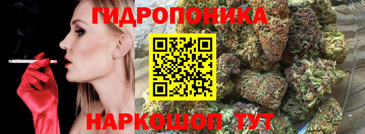 Бошки марихуана план  Канабис Amnesia  Конопля VHQ  Рубцовск  Вход с VPN 